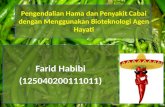 bioteknologi HPT cabai