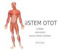 Sistem Otot pada Manusia