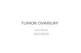 Referat tumor ovarium  (ppt)