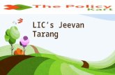 LIC’s jeevan tarang