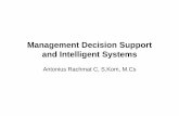 Management Decision Support and Intelligent Systems ...