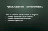 Agricultura tradional y moderna