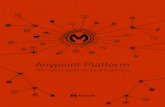Anypoint platform_Brochure