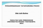 TATAPAMONG PROGRAM STUDI.pdf