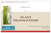 PPT Bioteknologi (Plant Transgenesis)