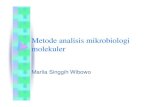 Metode analisis mikrobiologi molekuler.pdf
