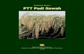 PTT-Padi Sawah.pdf
