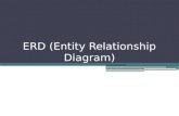 Erd (entity relationship diagram)