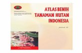 Atlas Benih Tanaman Hutan Indonesia jilid II