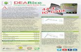 DEARICE; low GI rice