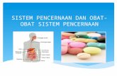 Sistem pencernaan dan obat obat sistem pencernaan