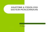 Anatomi fisiologi-pencernaan2 (1)