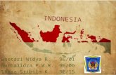 Geografik Indonesia kelas IX