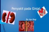 Penyakit pada ginjal (Albuminuria, Anuria, Glikosaria dan sbg)