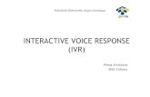 INTERACTIVE VOICE RESPONSE (IVR)