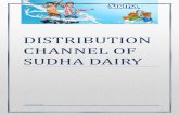 Sudha dairy report