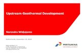 Upstream Geothermal Development