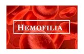 Askep anak dengan hemofilia