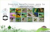 Insectos benefiosos para la agricultura