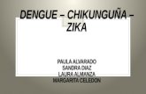 Dengue – chikunguña – zika