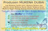 +62.822.4040.9293 (Telkomsel), Harga Mukena Anak Surabaya, Harga Mukena Bordir Bangil, Harga Mukena Anak 2 Tahun