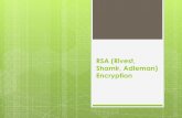 3. RSA (Rivest, Shamir, Adleman) Encryption.pdf