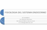 Fisiologia del sistema endocrino para 200 y 400 2015