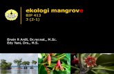ekologi mangrove (BIP 413)
