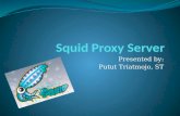 Squid proxy-server