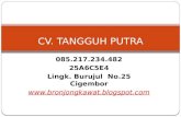 Harga Jual Kawat Bronjong Kabupaten Toraja Utara 2017, Agen 085.217.234.482