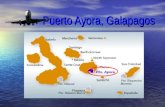 Puerto ayora galapagos