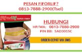 0813-7888-2900 (Tsel), Agen Fiforlif di Pekanbaru, Distributor Fiforlif di Pekanbaru, Stokist Fiforlif Pekanbaru