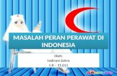 Masalah Peran Perawat di Indonesia