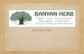 Banyan Herb
