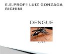 Dengue 1 E