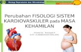 Perubahan Fisiologi saat Kehamilan PADA Sistem Kardiovaskuler