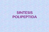 Bab 04 sintesis polipeptida