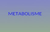 Bab 02 metabolisme