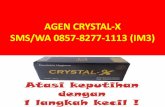 0857-8277-1113 (SMS/WA), Agen Crystal X Bekasi, Distributor Crystal X Bekasi