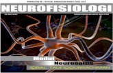C5 Neurofisiologi Dasar