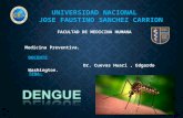 Diapo dengue