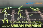 11 Alasan Kamu Harus Mencoba Urban Farming!