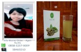 0858-5257-0009, Jual Green Coffee Kalimantan Tengah