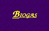 Biogas [2014]