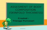 Ppt assesment of body composition