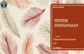Slide / Powerpoint Sistem Pernapasan (kelas XI MIPA kurikulum 2013)