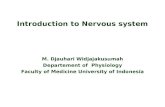 Pengantar sistem saraf (dr. djauhari)