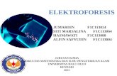 Kelompok 8 Kimia B ( Elektroforesis)