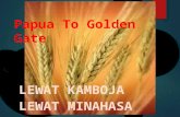 Golden gate to papua to golden date