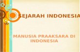 Sejarah indonesia- Manusia Praaksara di Indonesia
